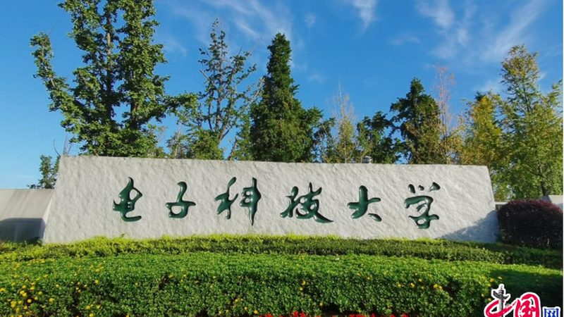 继电器寿命之谜：揭秘影响其耐久度的关键因素**