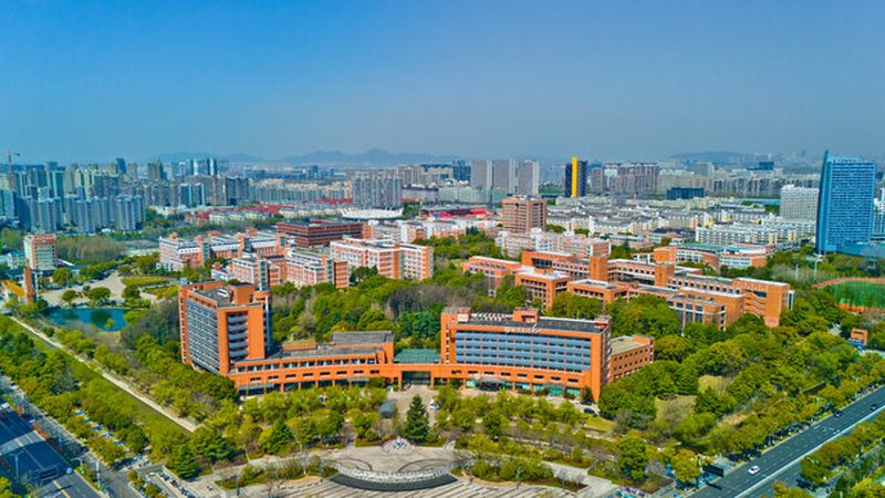 成都物联网电子模块：揭秘其报价背后的技术考量
